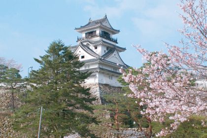 Kochi Castle - Kochi shore excursions