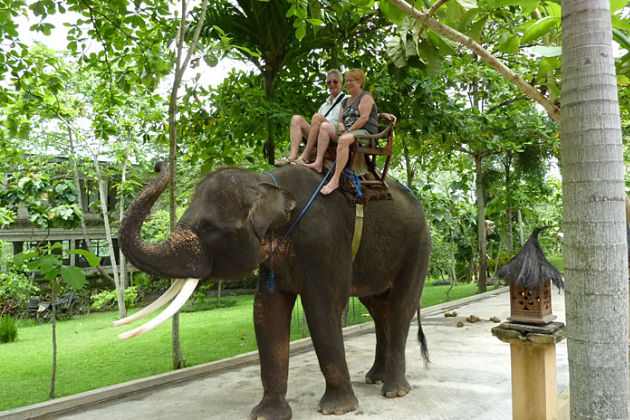 Elephant Ride in Bali shore excursions