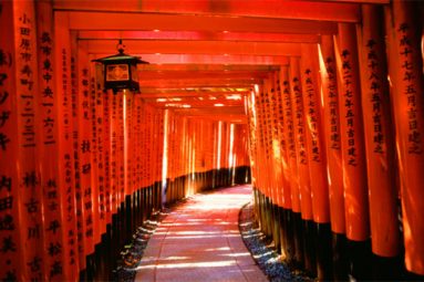 Essence of Arashiyama – Fushimi Inari Taisha | 9 Hours - Shore ...