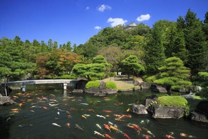 Kokoen Garden - Kobe shore excursions