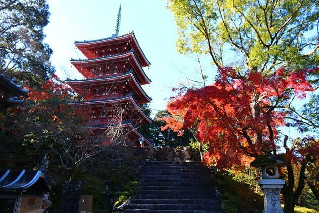 Chikurin-ji-Temple-kochi-shore-excursions-japan