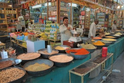 Goa Market Tour & Organic Farm