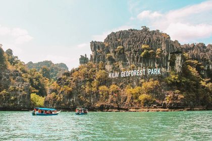 Langkawi Mangrove Safari