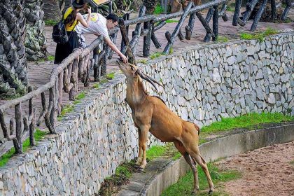 Pattaya Adventure Day Tour