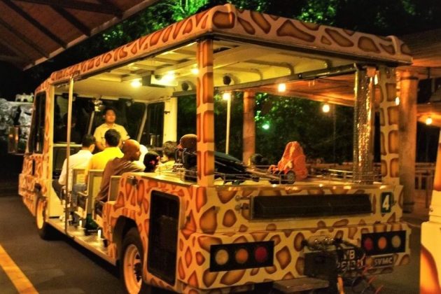 Singapore Night Safari Tour