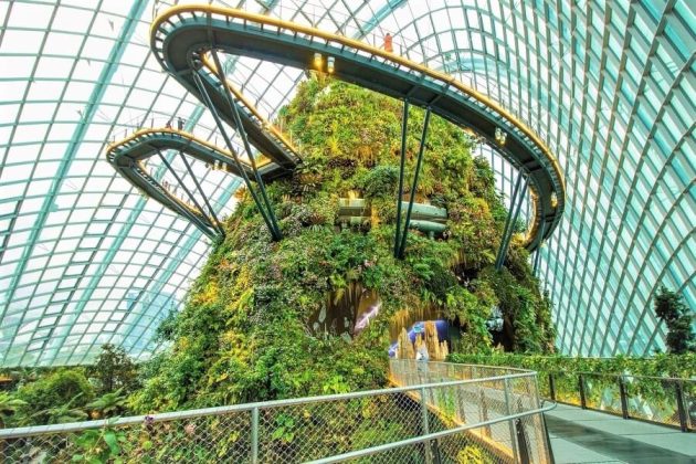 Singapore’s Gardens by the Bay with Lunch