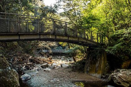 Forest Therapy in Inohae Valley - Aburatsu Shore Excursions