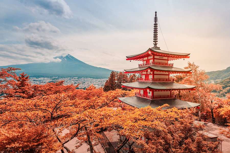 Best time to visit Japan -Autumn Foliage Season