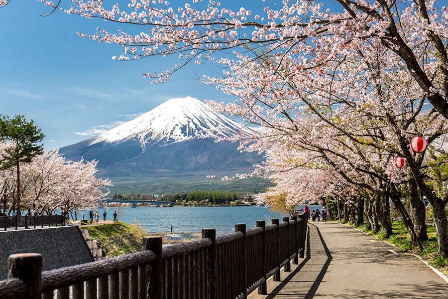 Mount Fuji- Japan shore excursions