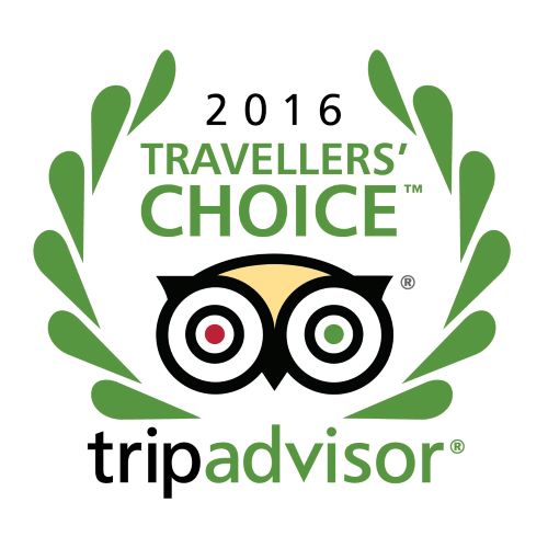 2016 Shore Excursions Asia -tripadvisor