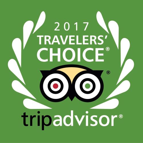 2017 Shore Excursions Asia-tripadvisor