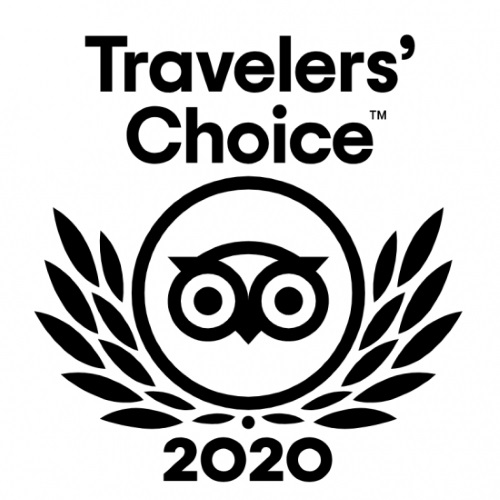 2020 Shore Excursions Asia tripadvisor