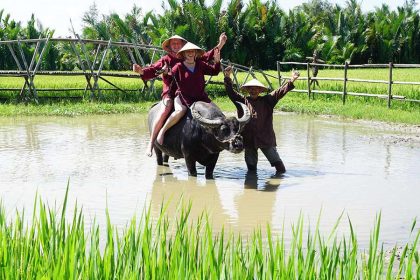 Hoi An Buffalo Cart Rural Life and Shopping Tour