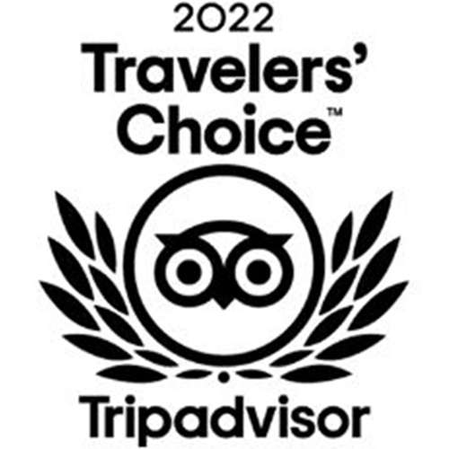 Tripsadvisor Travelers Choice 2022- Asia shore excursions