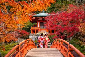 Japan Fall Foliage - Discover Stunning Autumn Leaves in Japan