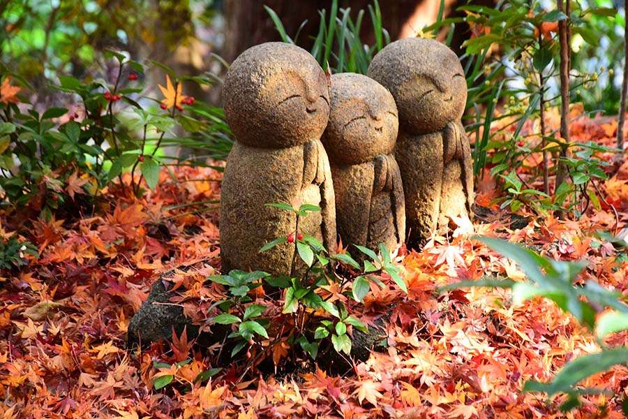 Kamakura Hasedera - Japan Fall Foliage Location