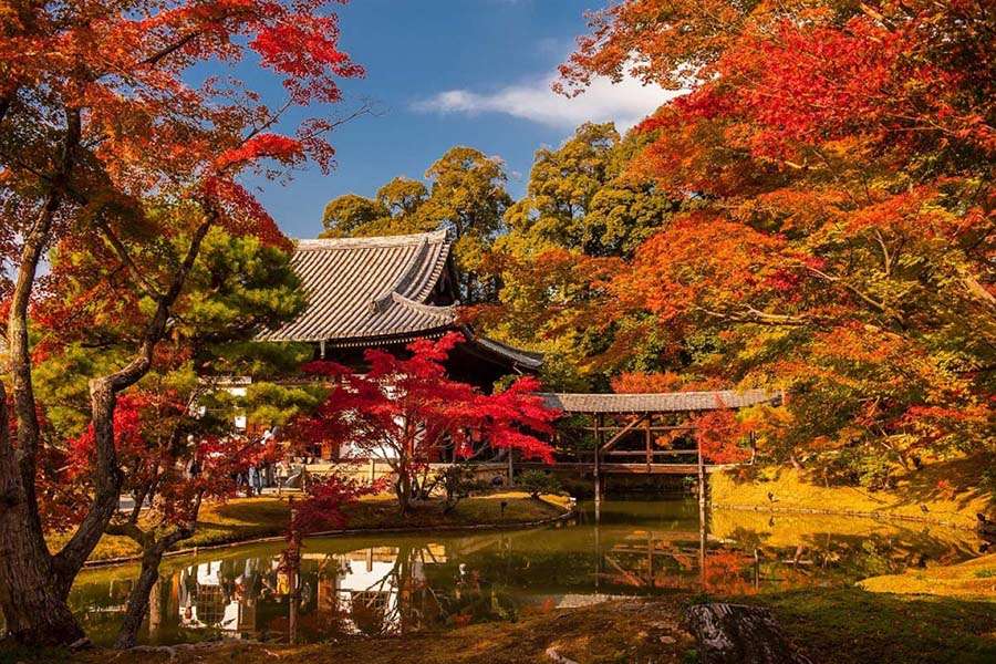 Kyoto - Best Locations to See Autumn Leaves in Japan