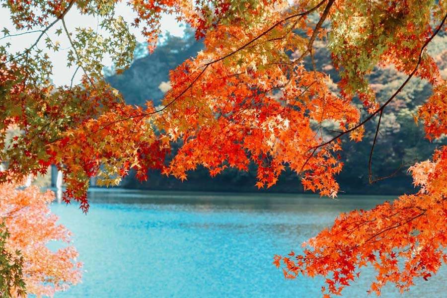 Lake Chuzenji - Japan Fall Foliage Location