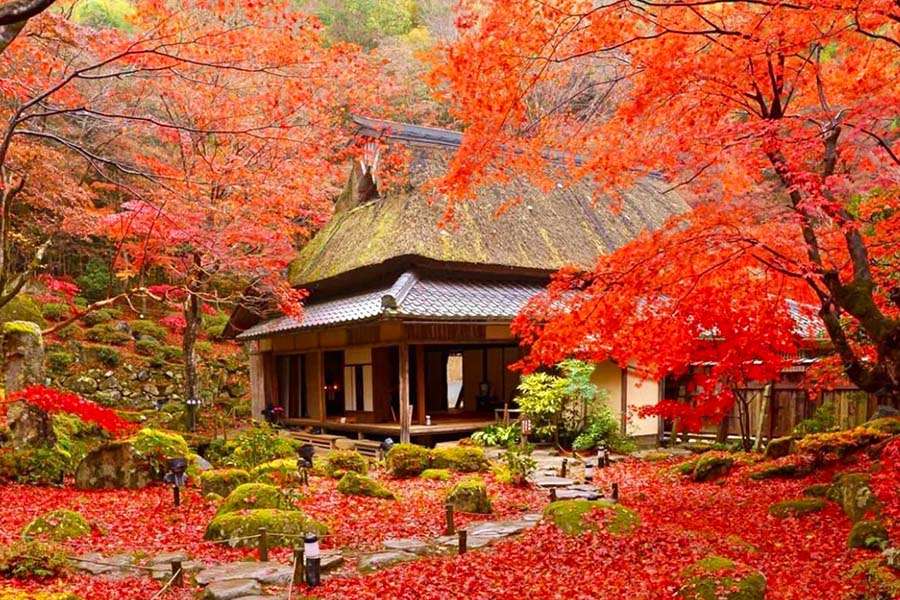 Mount Hieizan - Japan Fall Foliage Place