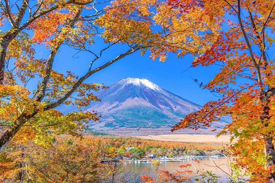 Mt. Fuji - Best Locations to See Japan Autumn Foliage