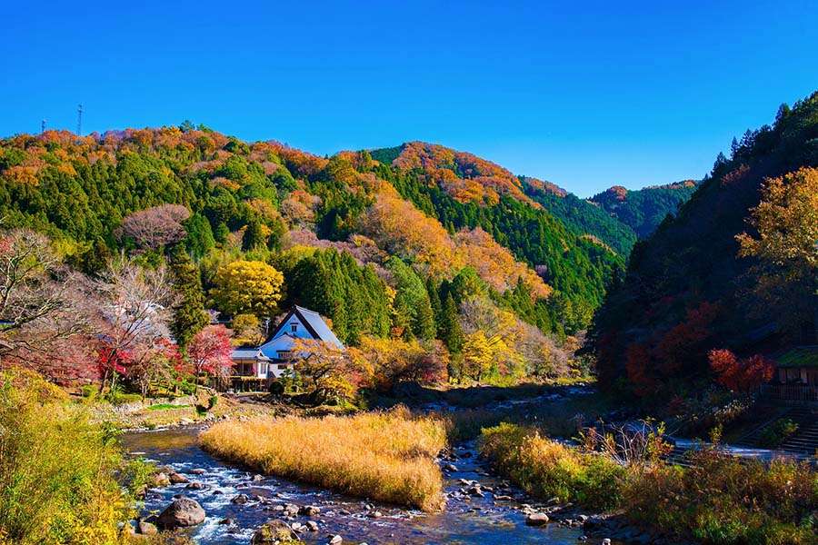 When is Fall Foliage in Japan