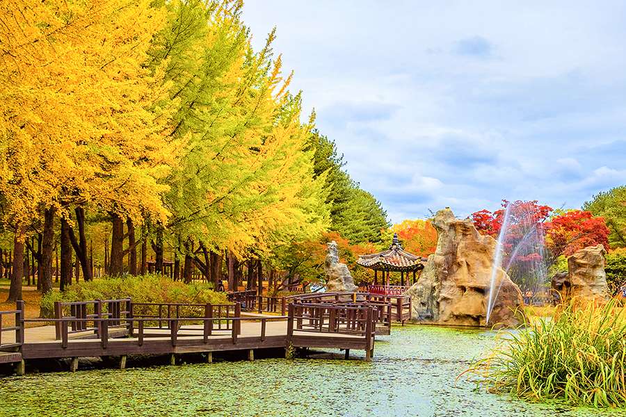 Nami Island, South Korea - Best Autumn Fall Foliage Destinations in Asia