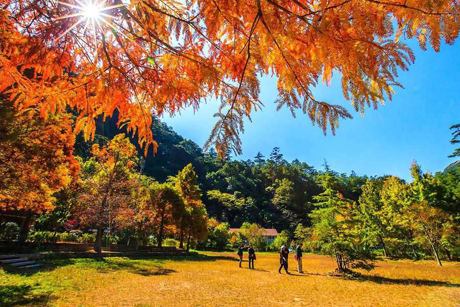 Qingjing Farm, Taiwan- Best Destinations to Enjoy Autumn in Asia