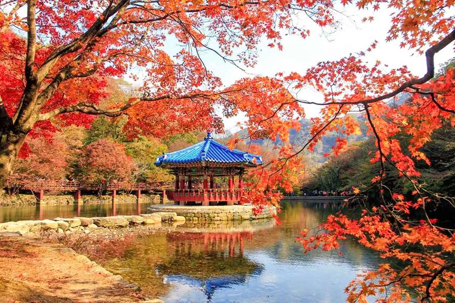 Seoul, South Korea - Best Autumn Fall Foliage Destinations in Asia